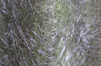 Baildon fibreglass roof work